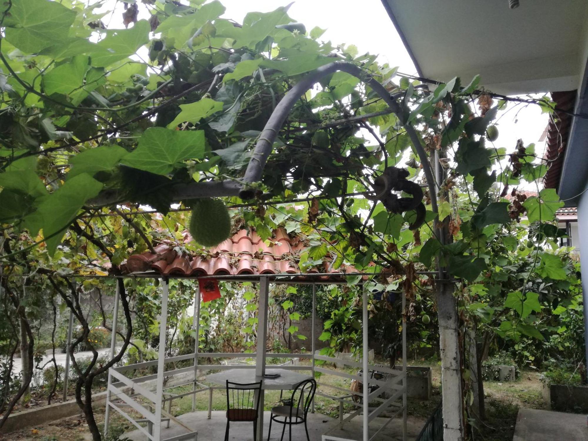 Villa Osmani Durrës Esterno foto