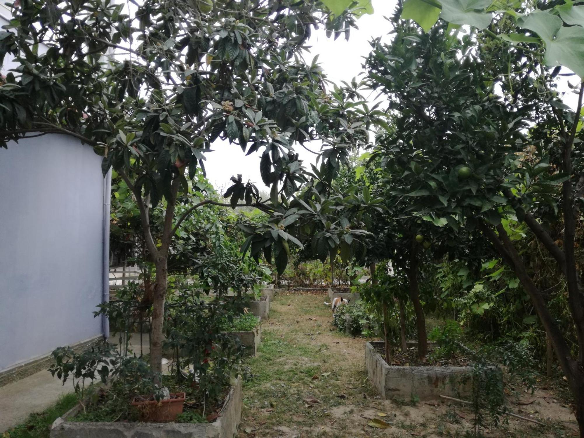 Villa Osmani Durrës Esterno foto